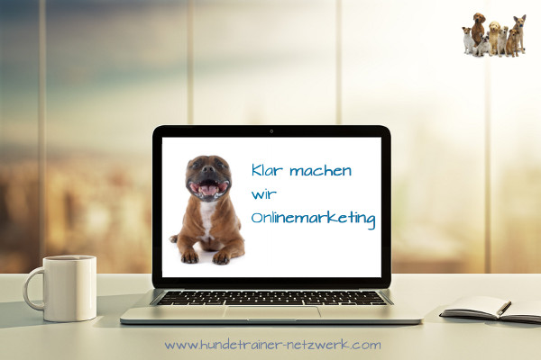 Auswahlkriterien-Onlinemarketing-Dienstleister