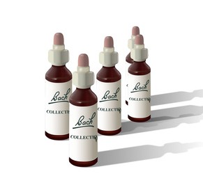 Bachblüten für Hunde