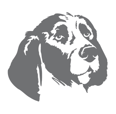 Hundeschule Stuttgart