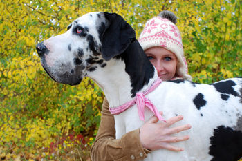 Valentinstag mit meinem Hund