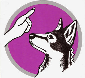 Hundeschule-Hamburg Hundeschule-Hamburg