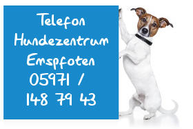 Hundezentrum-Emspfoten-Kontakt Hundeschule in Rheine - Janine Kuster