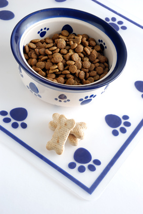 Marketingtipp für Hundetrainer