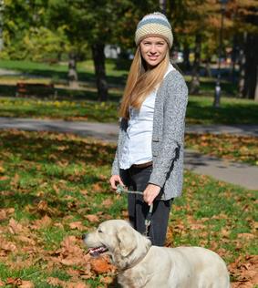Hund-zieht-an-der-Leine