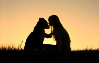 Koerperstrafe-Hunderziehung