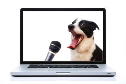 Vorträge für Hundeschulen und Hundetrainer Vorträge für Hundeschulen und Hundetrainer