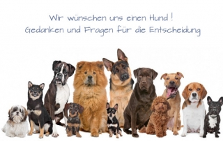 Wir-wuenschen-uns-einen-Hund