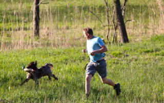Hundetrainerzertifizierung